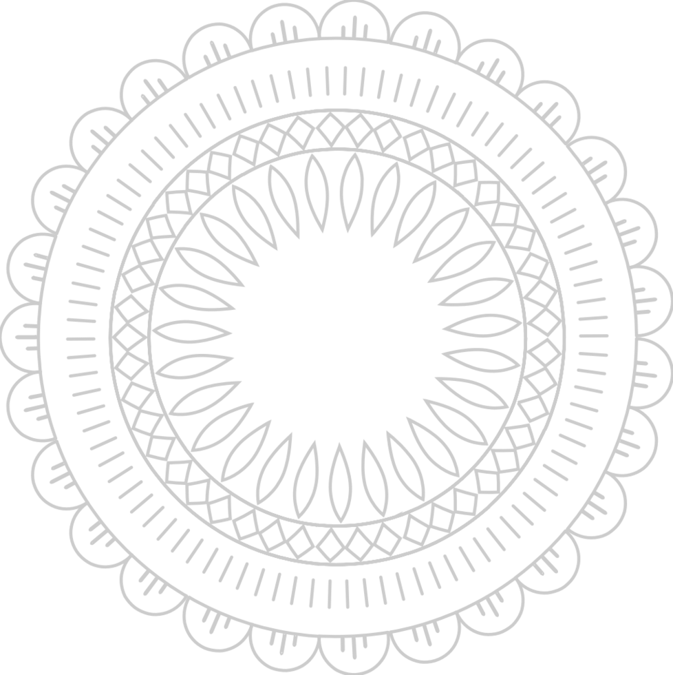 Decoration flower abstract vector