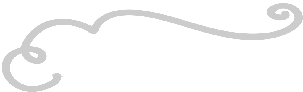 Decoration swirl line vector