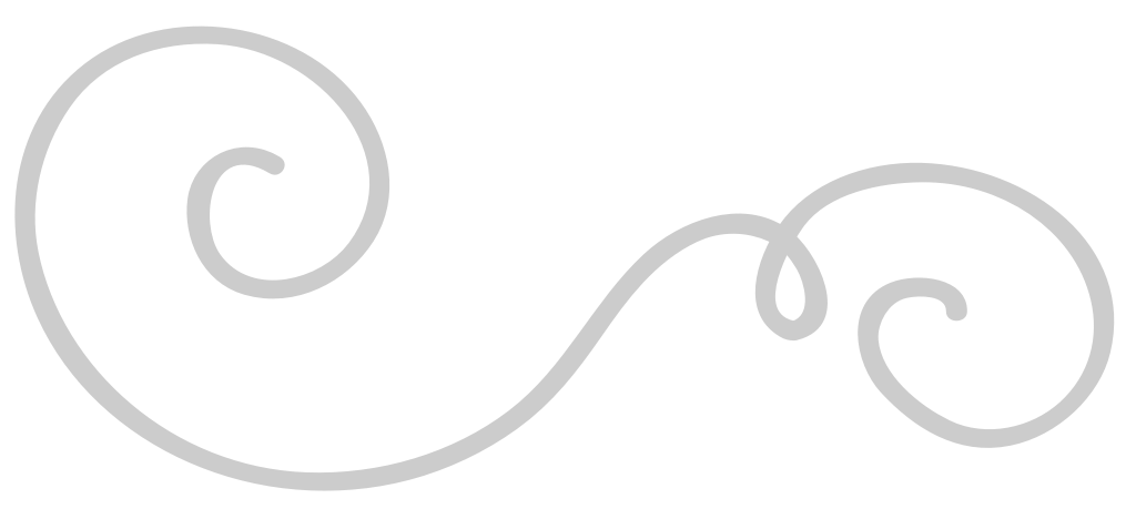 Decoration swirl line vector