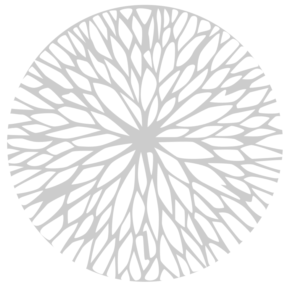 decoración círculo raíz vector