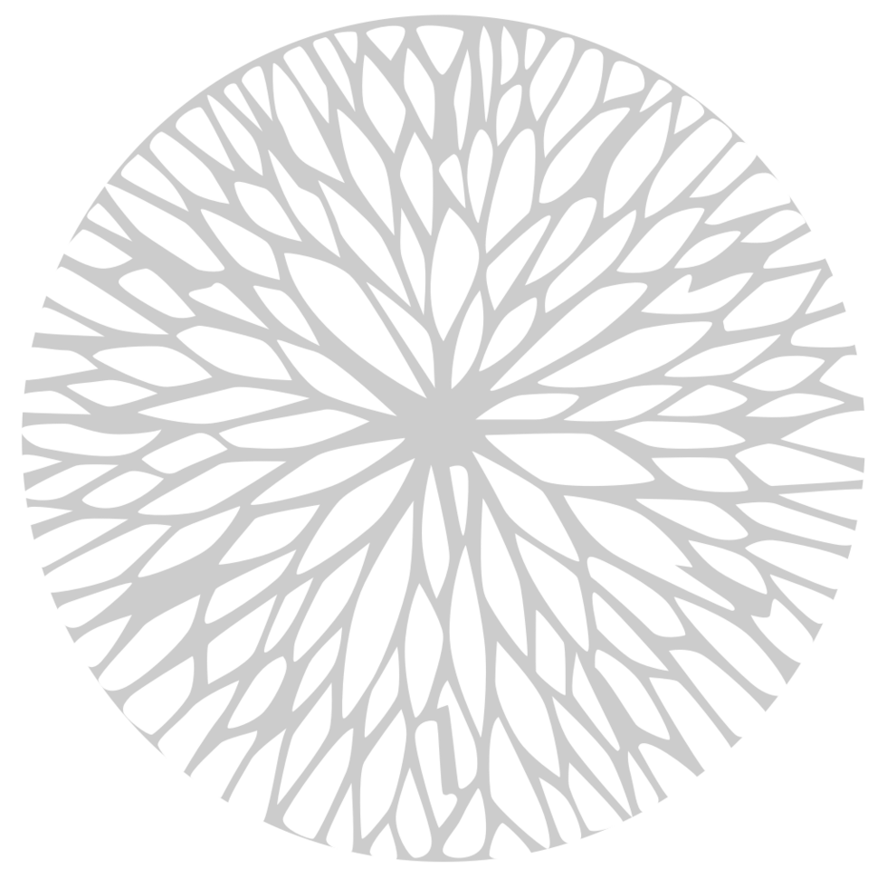Decoration circle root vector