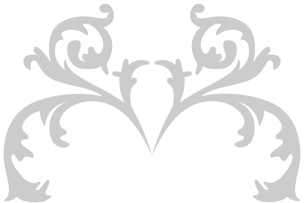 Decoration western flourish vector
