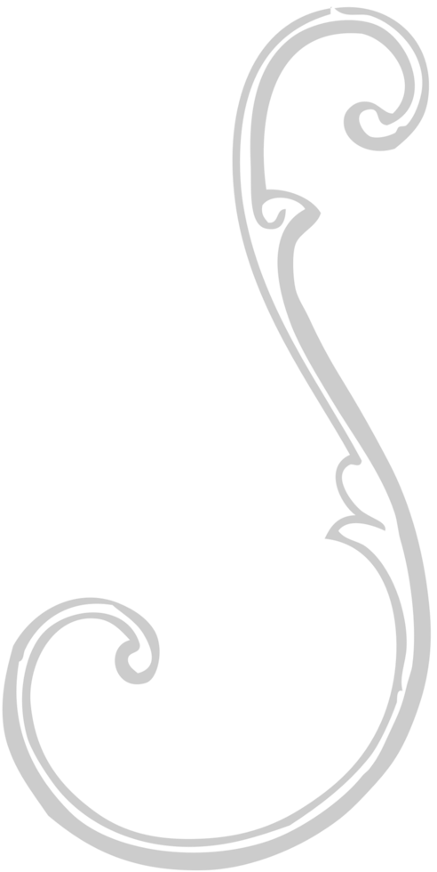 Decoration typographic  vector