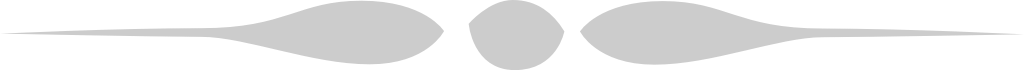 Decoration ornament vector