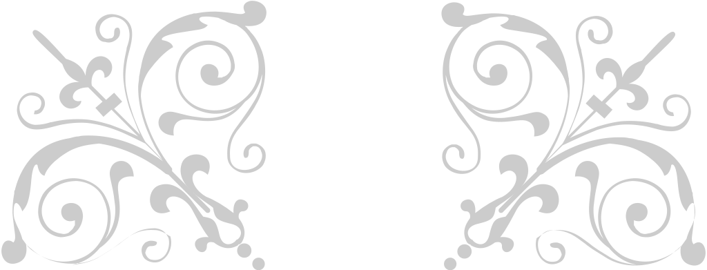 Decoration ornament vector