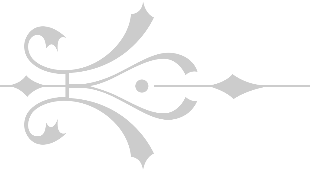 Decoration ornament vector