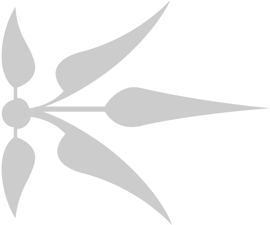 Decoration ornament vector