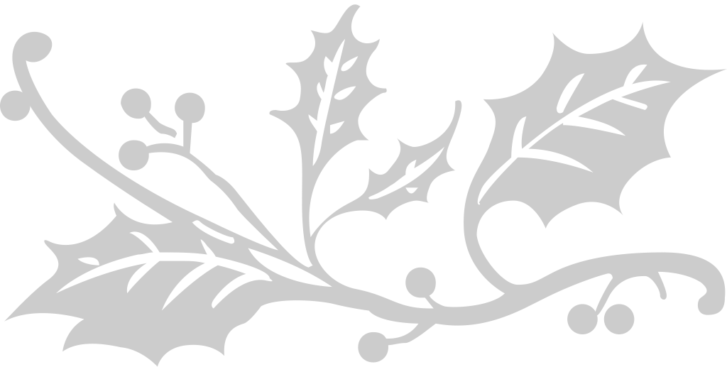 Decoration ornament vector
