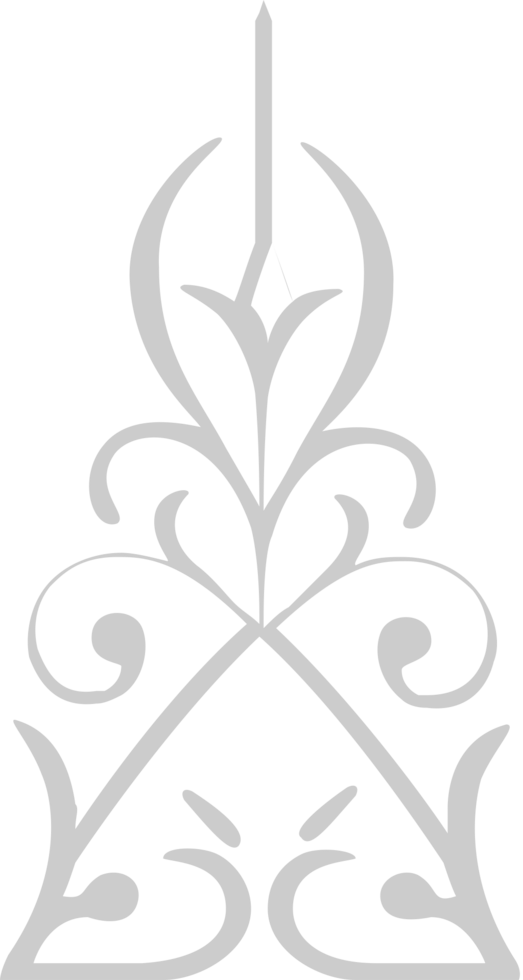 Decoration ornament vector