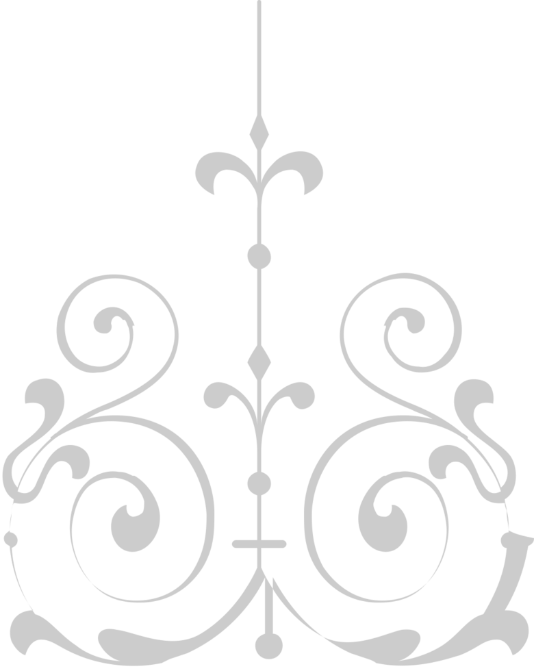 Decoration ornament vector