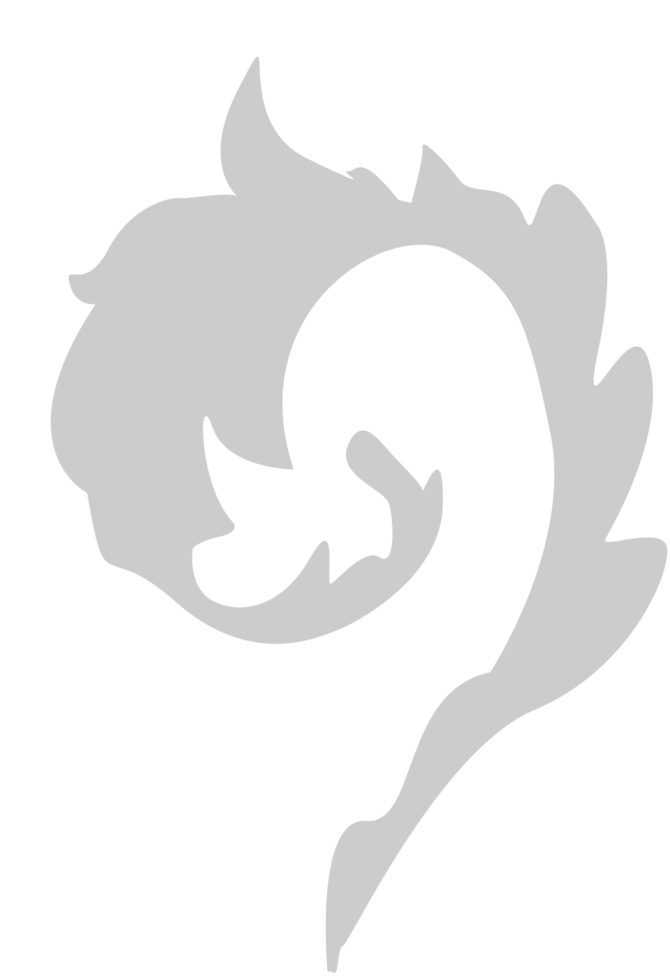 Decoration floral vector