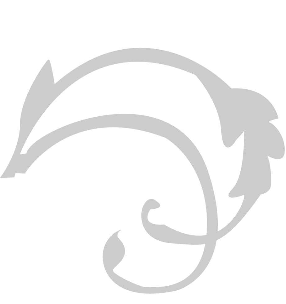 Decoration floral vector