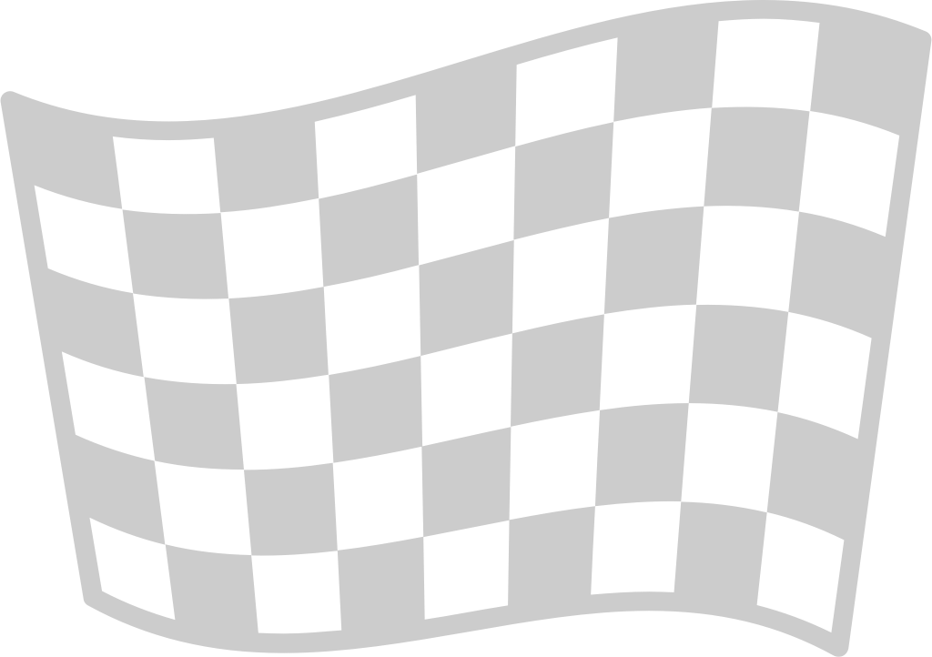Race Flag vector