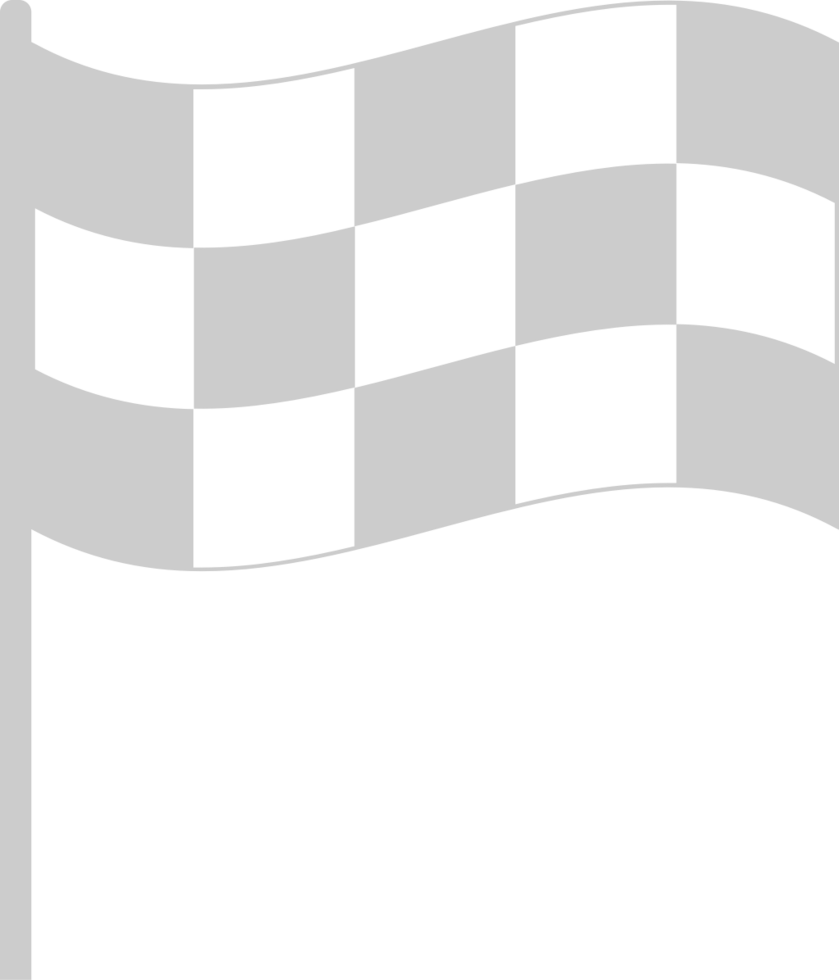Race Flag vector