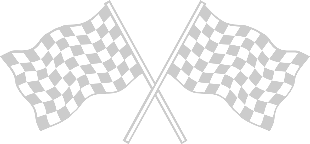 Race Flag vector