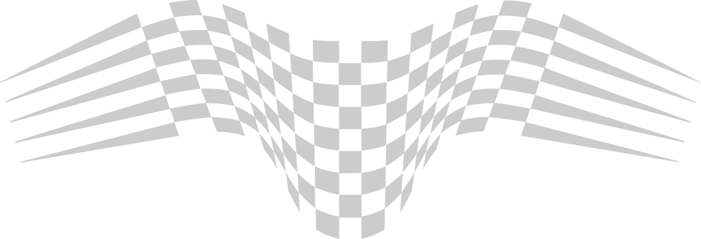 Race Flag vector