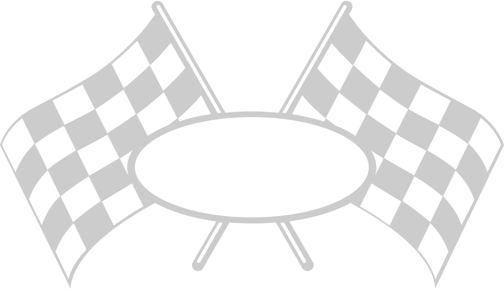 Race Flag vector