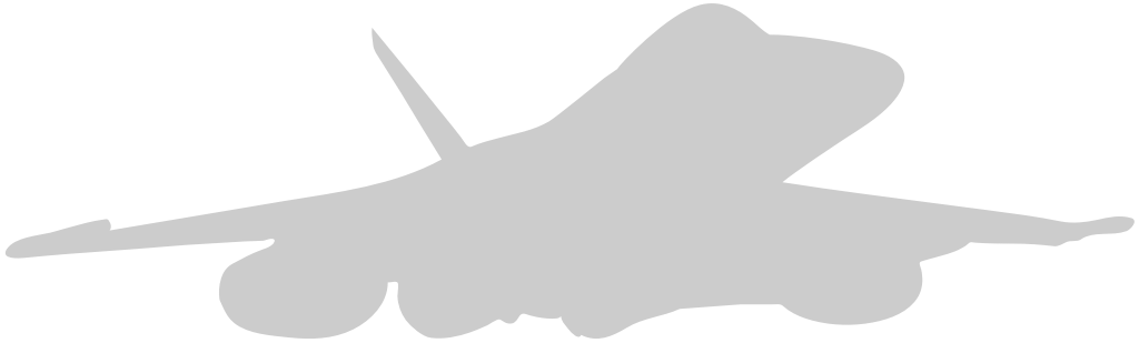 Aircraft vector