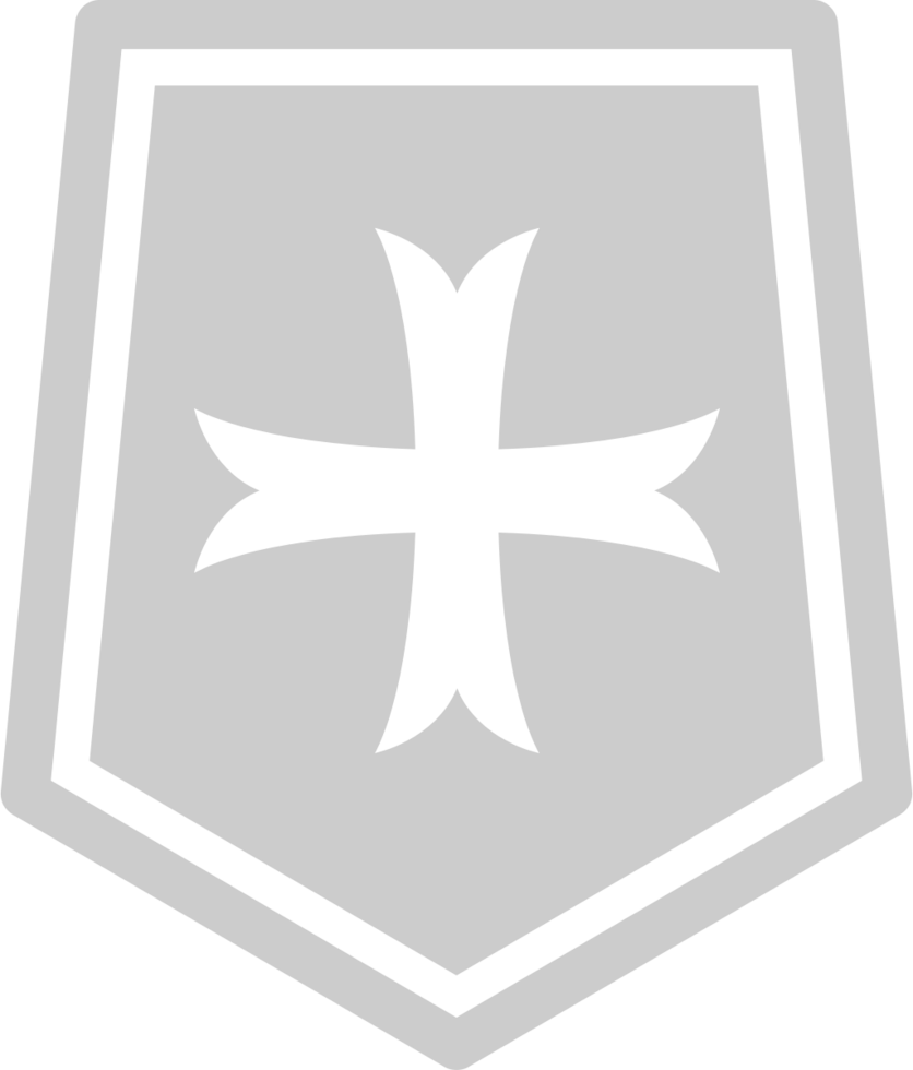 medieval shield vector