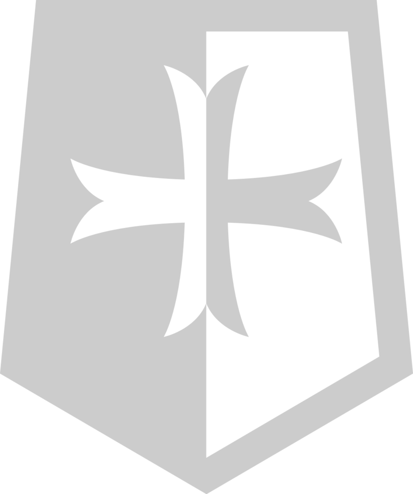 medieval shield vector