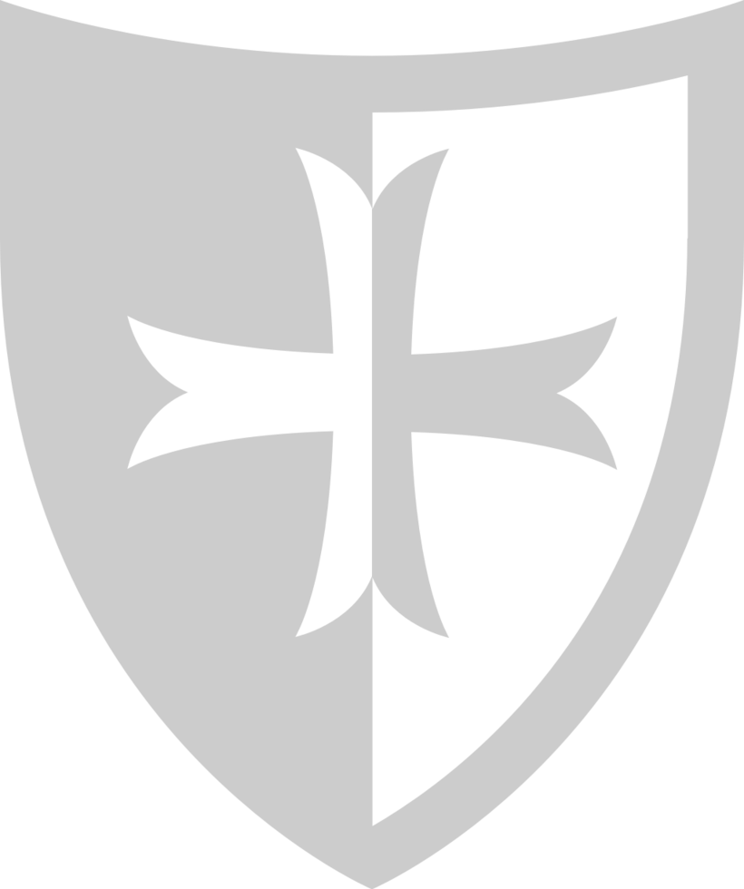 medieval shield vector
