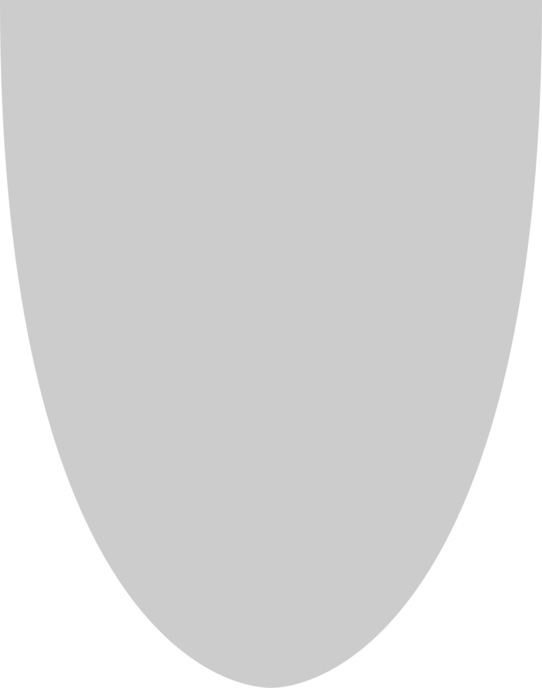 Shield vector