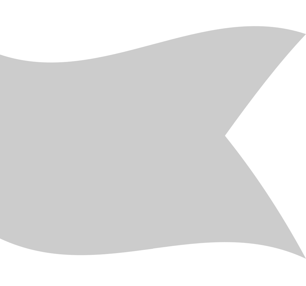 Flag vector