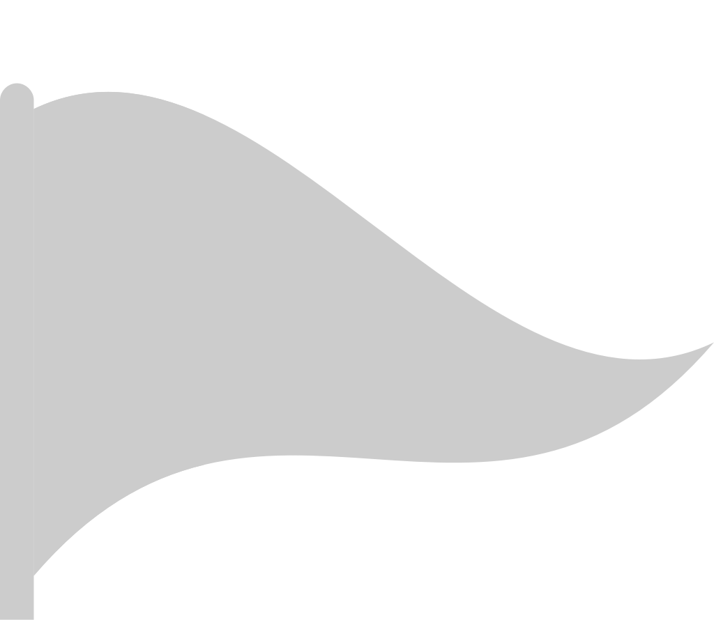 Flag vector