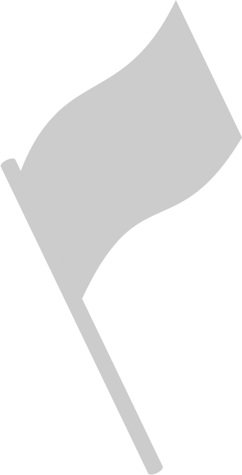 Flag vector