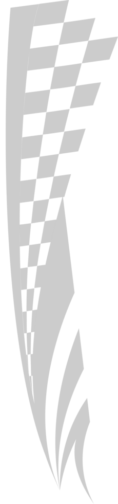 Flag racing vector