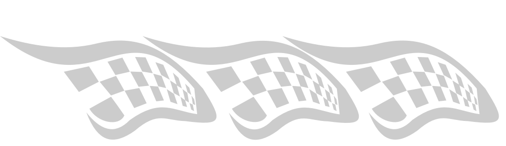 Flag race vector
