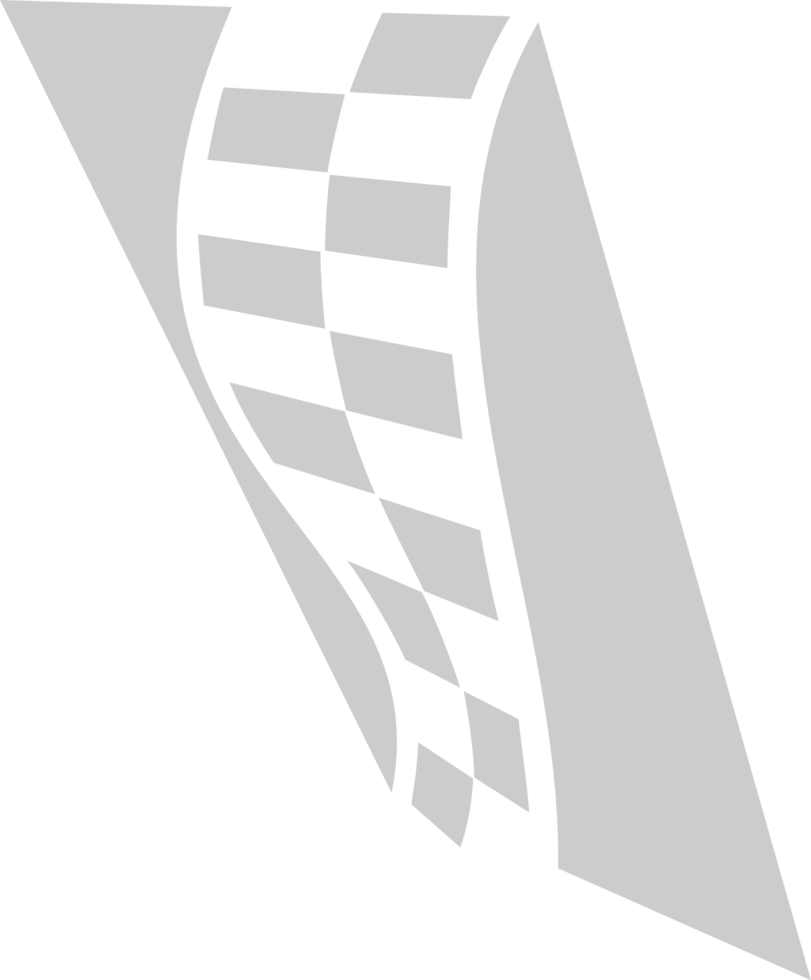 Flag race vector