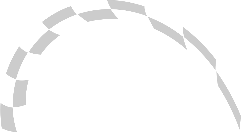 Flag race vector