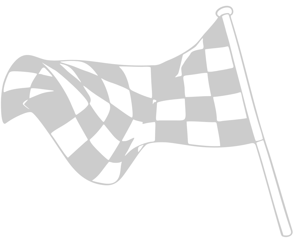 Flag race vector