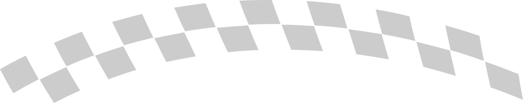 Flag race vector