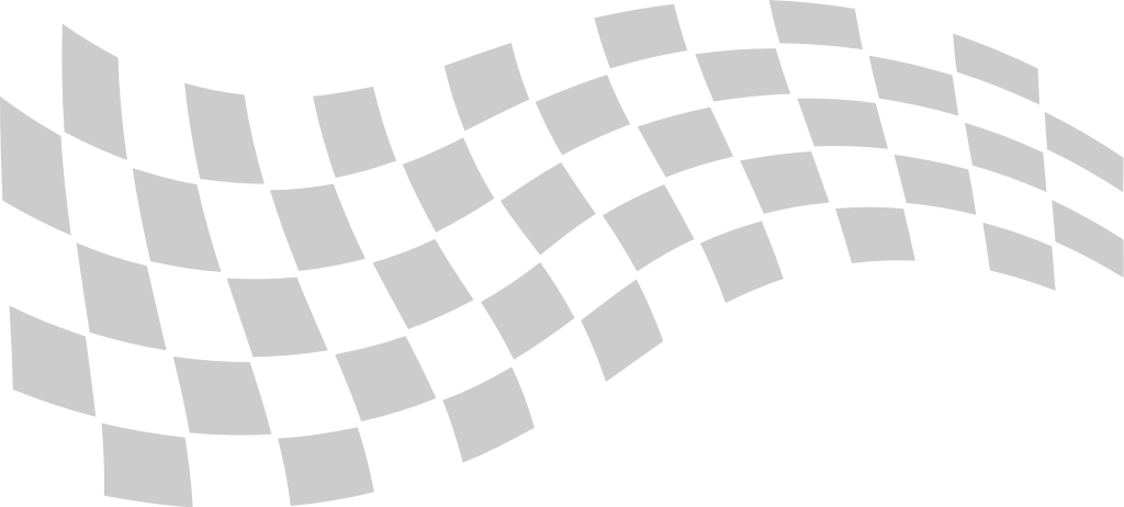 Flag race vector