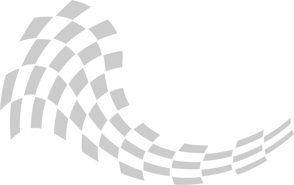 Flag race vector