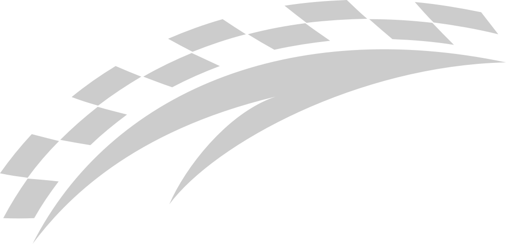 Flag race vector