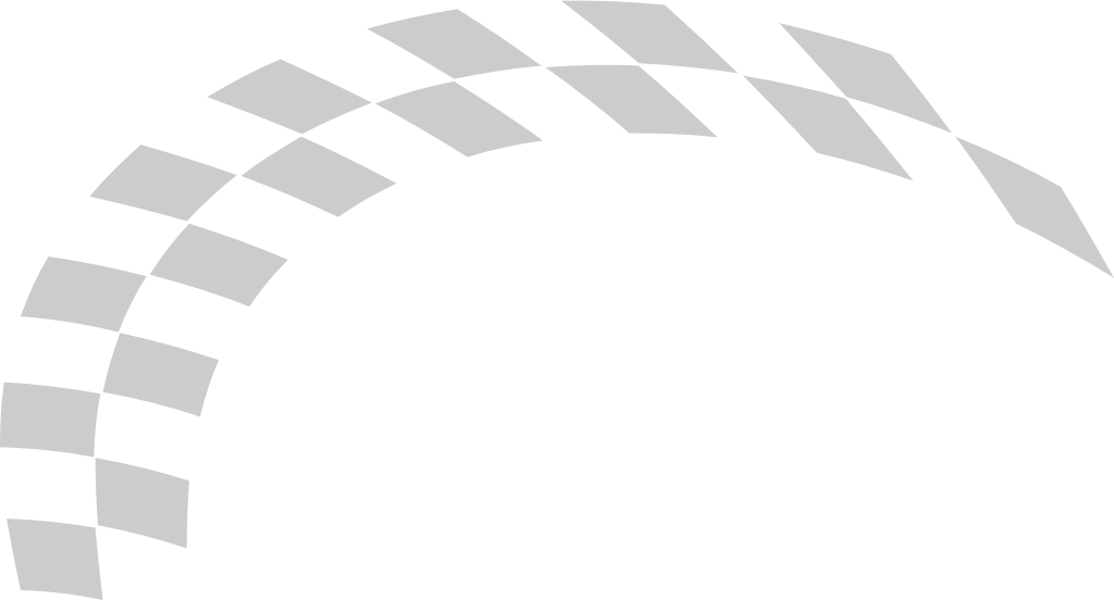 Flag race vector