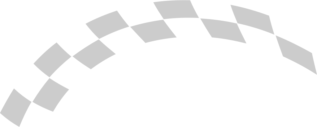 Flag race vector