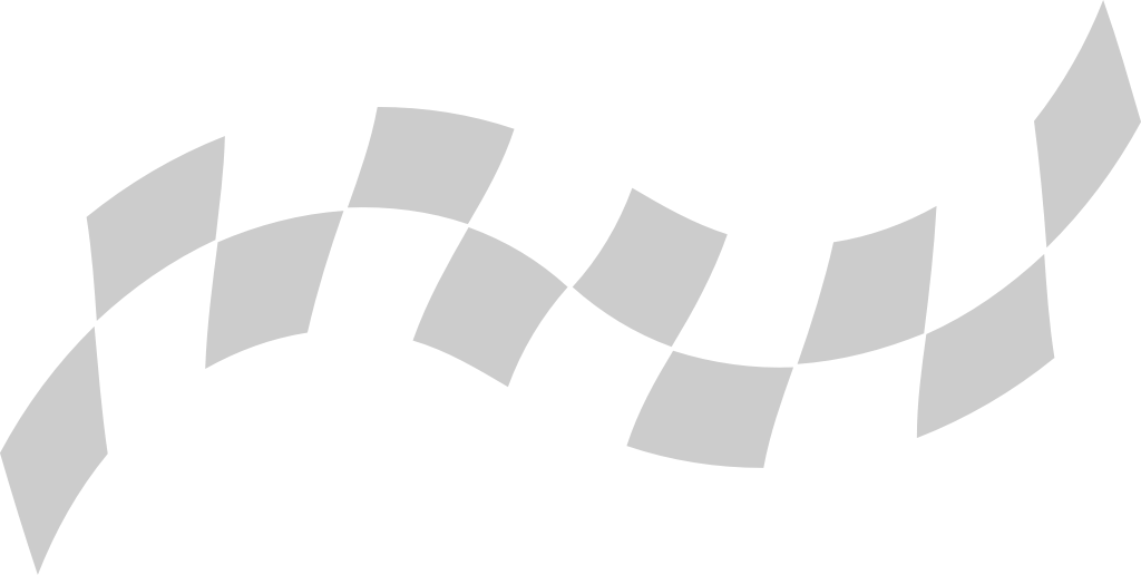 Flag race vector