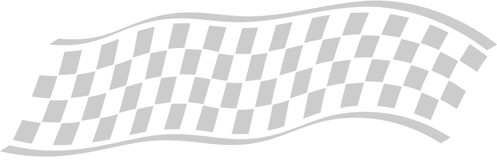 Flag race vector