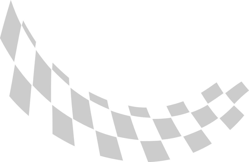 Flag race vector