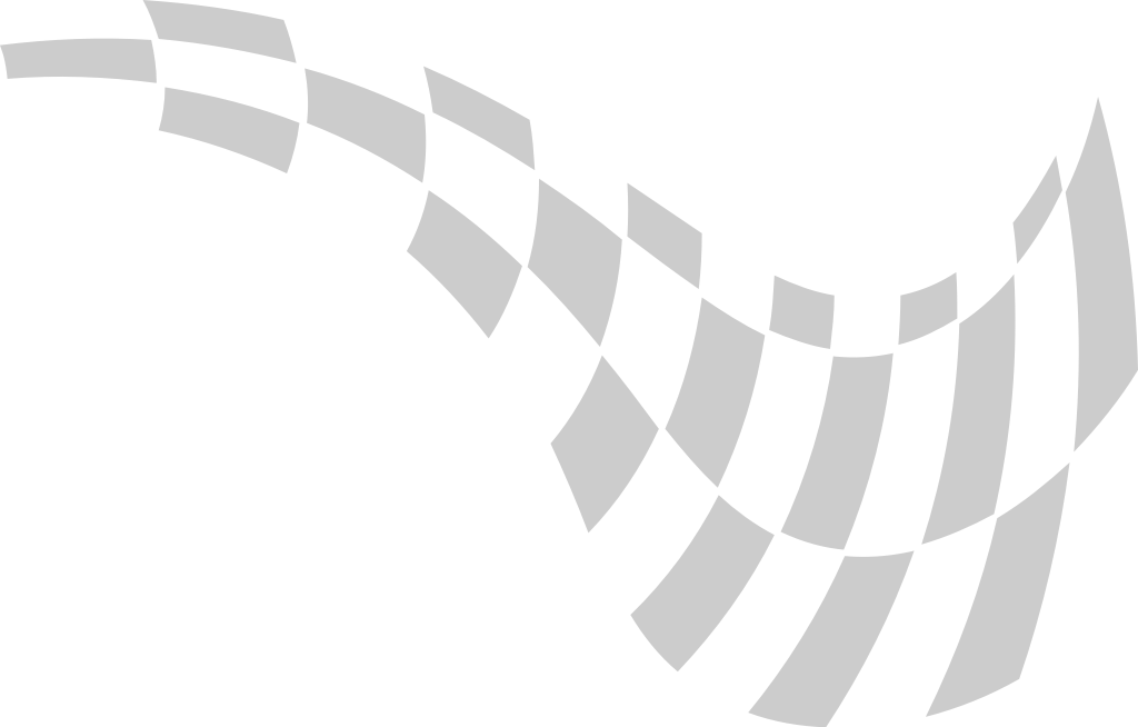 Flag race vector