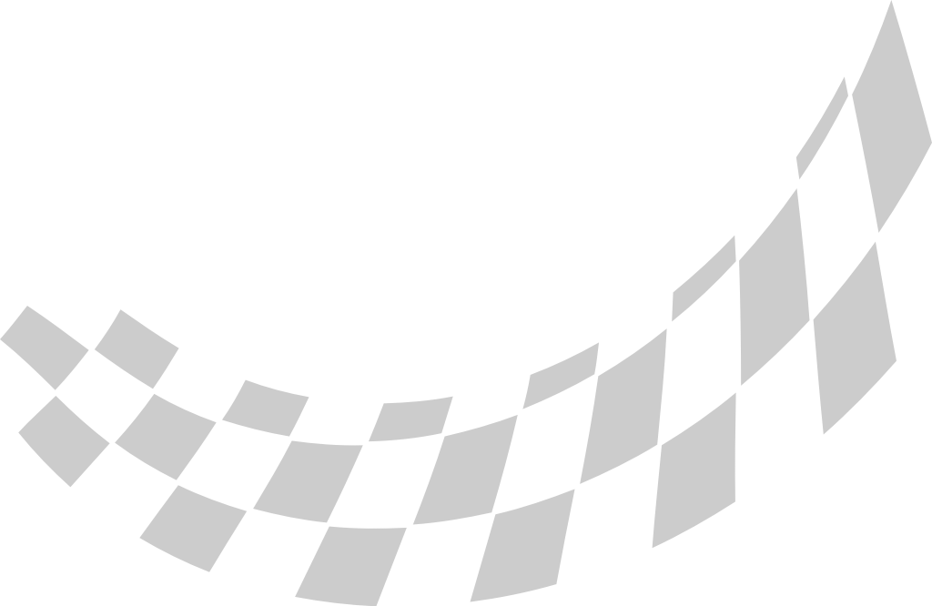 Flag race vector