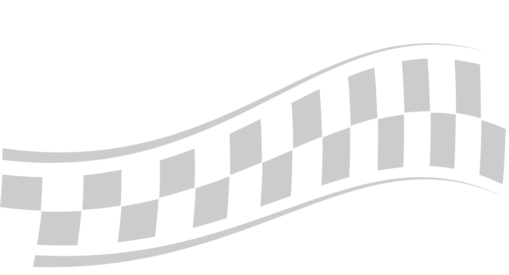 Flag race vector