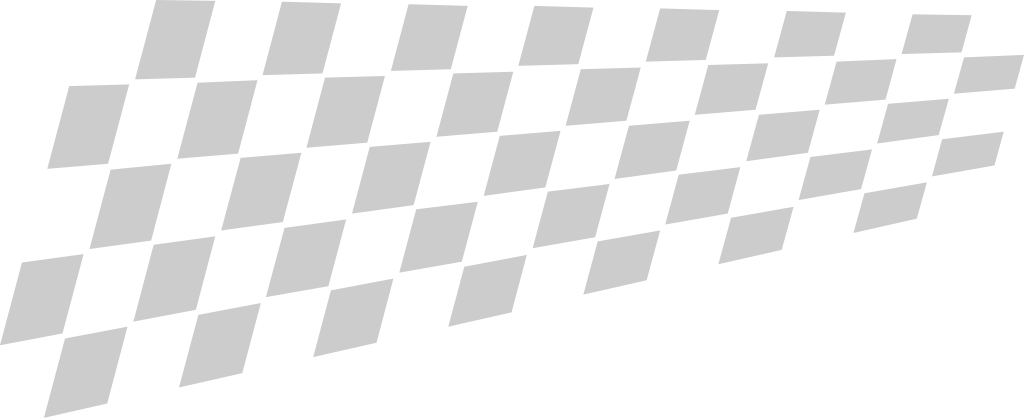 Flag race vector