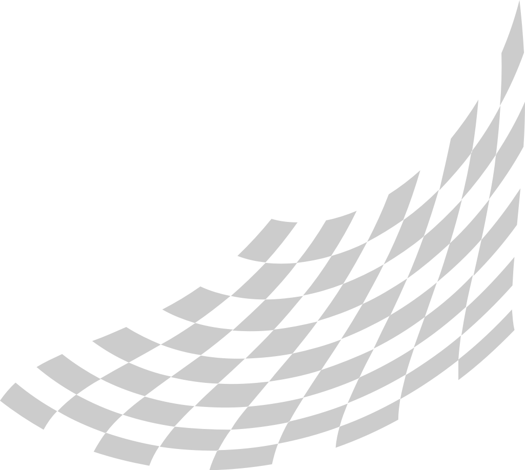Flag race vector