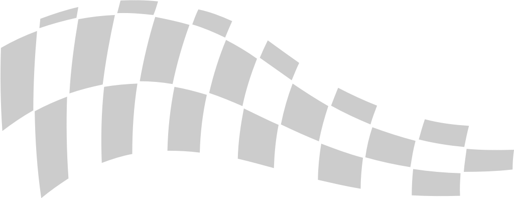Flag race vector