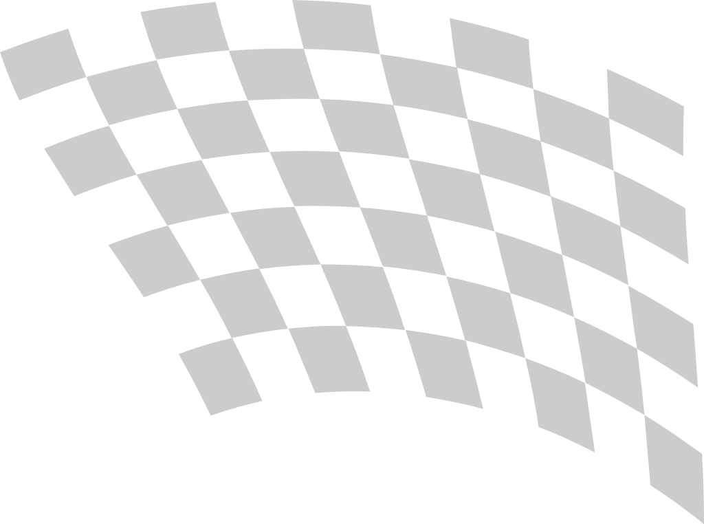 Flag race vector